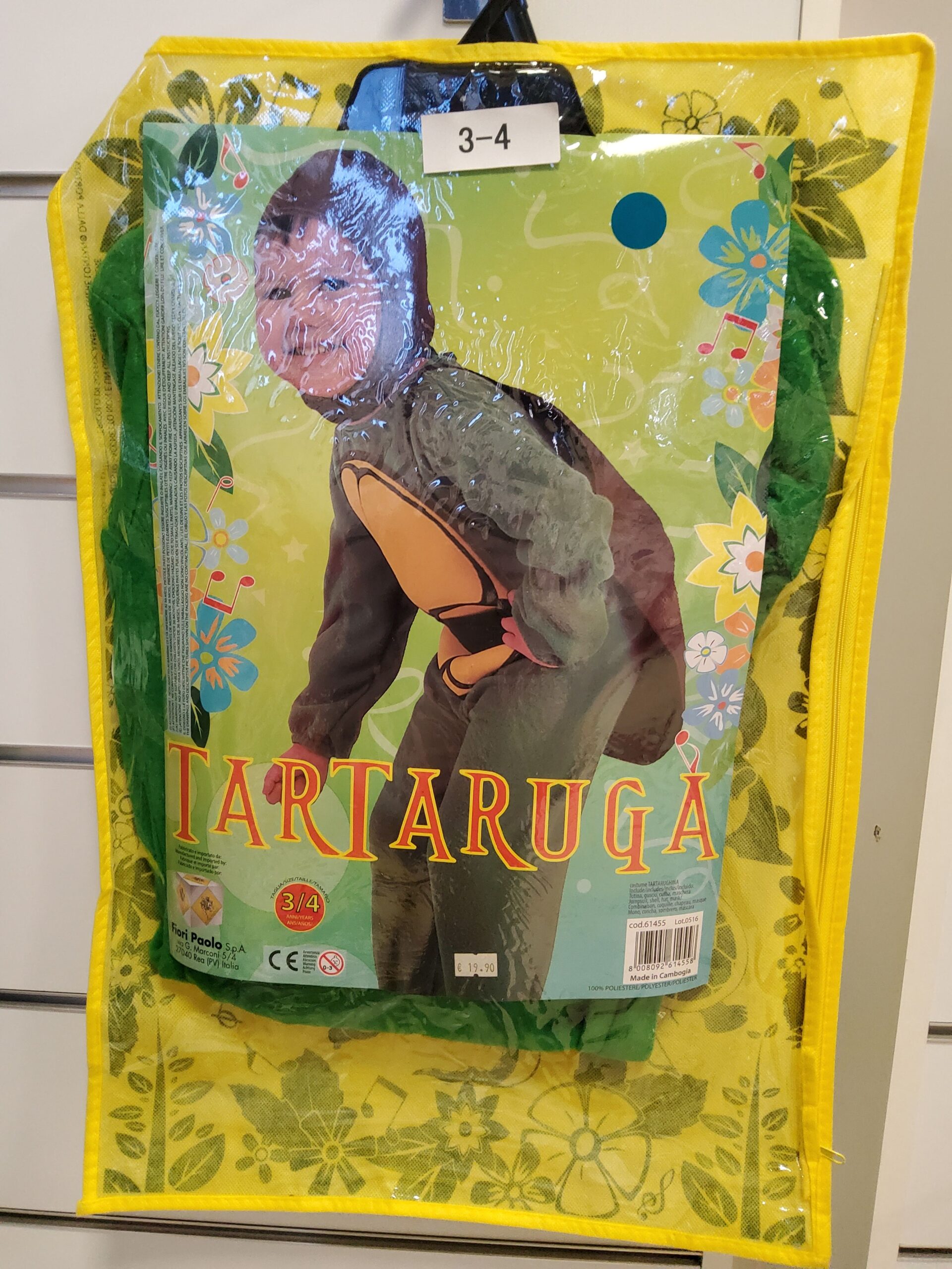 Tartaruga - immagine 1